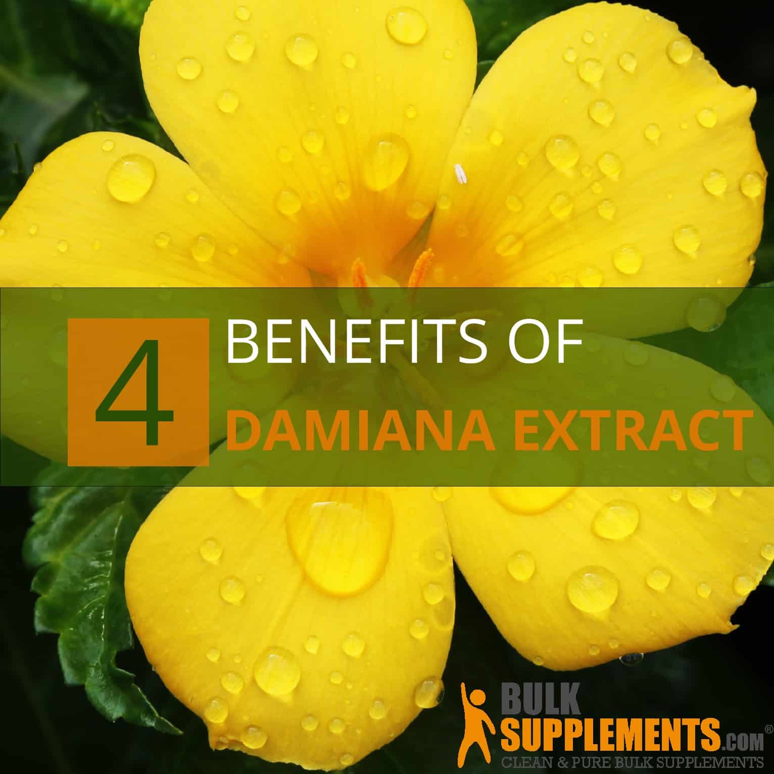 4 Ways Damiana Extract Can Improve Your Life