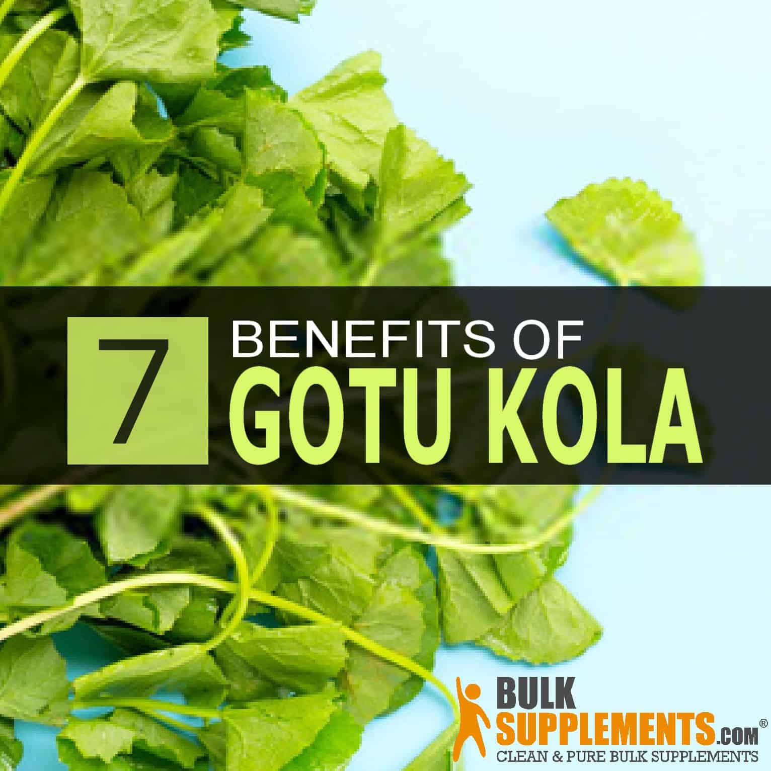 gotu kola