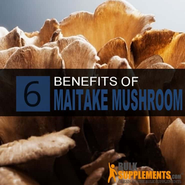 6 Good Reasons You Should Try Maitake Mushroom Extract