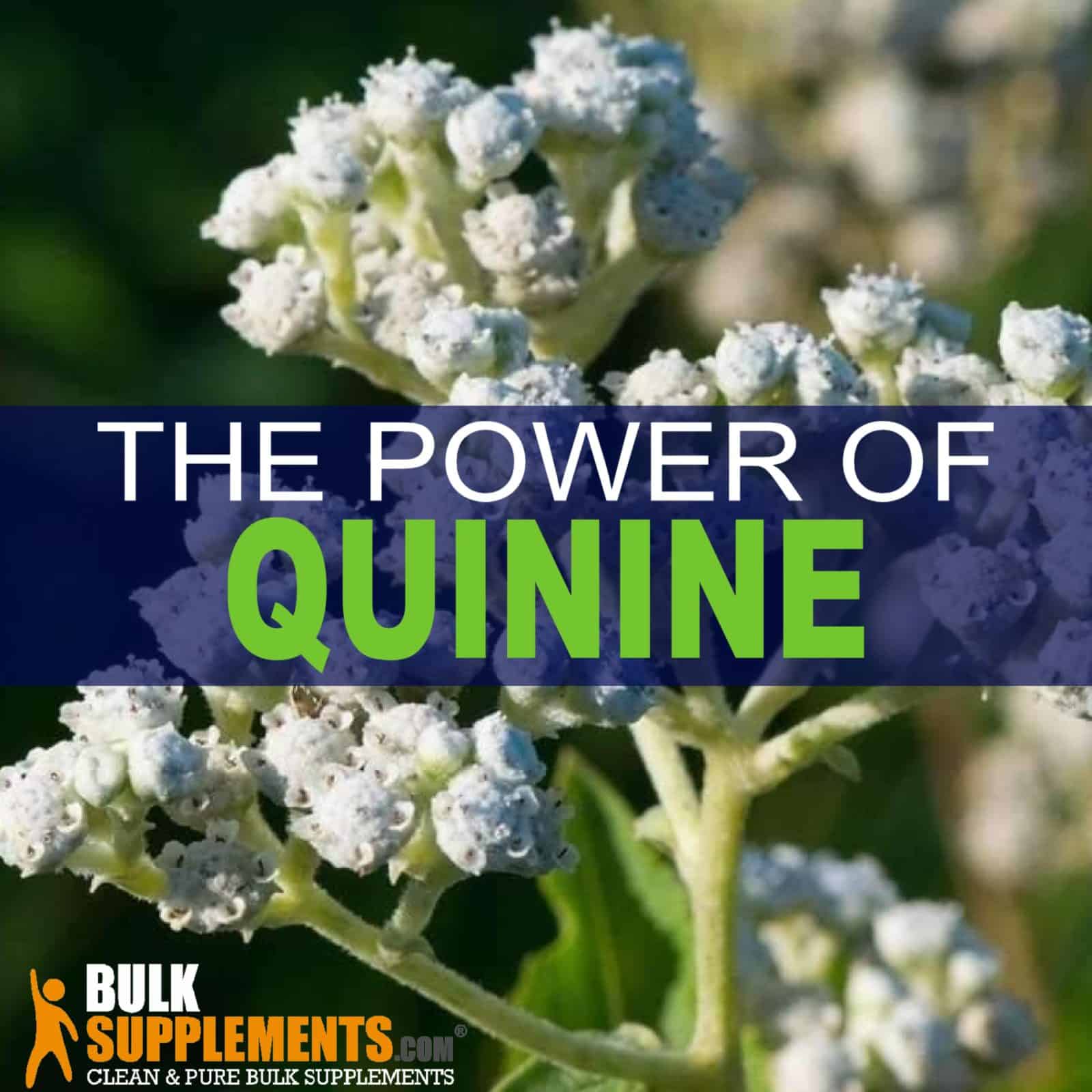 quinine