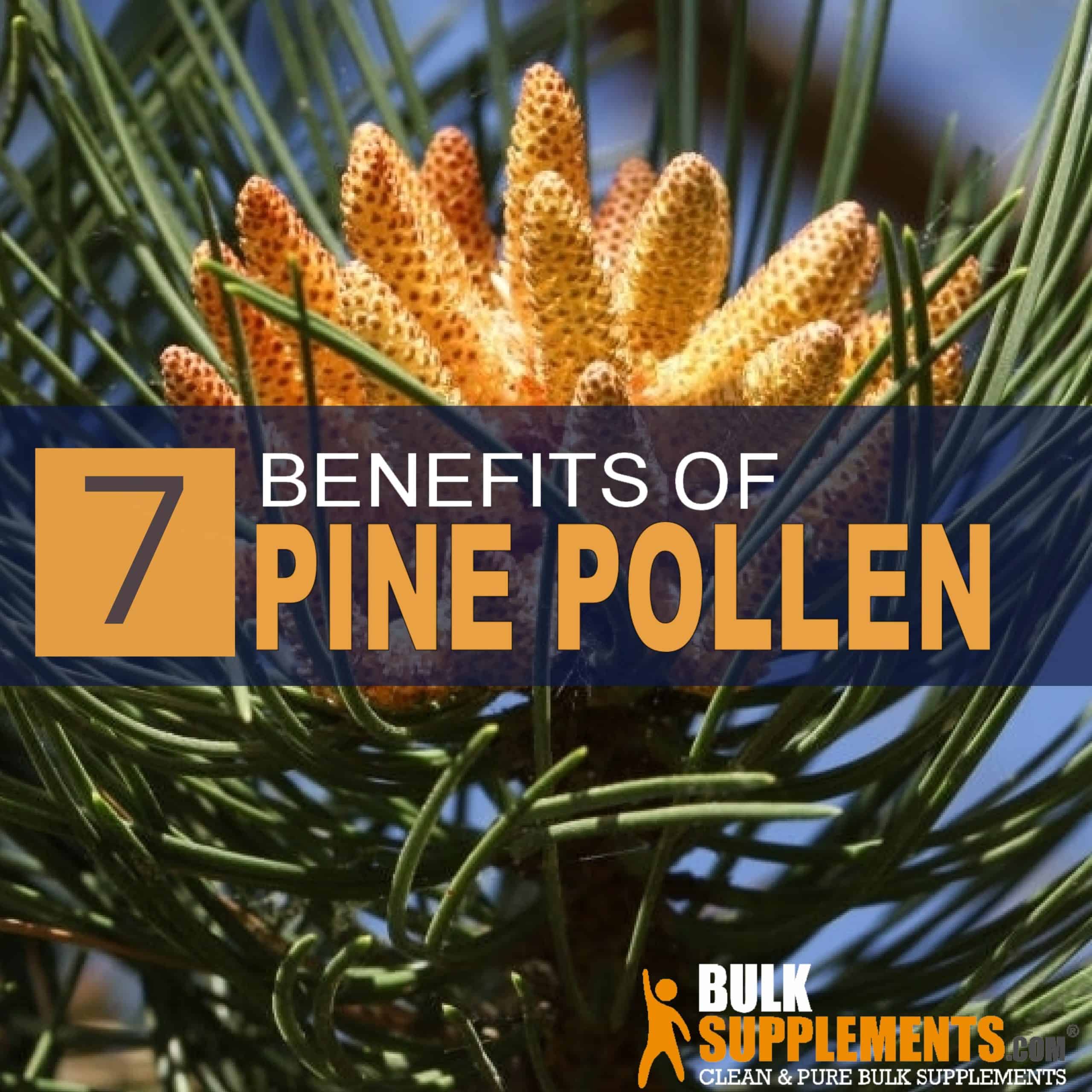 shallow delicacy Reproduce 7 Amazing Benefits of Pine Pollen 