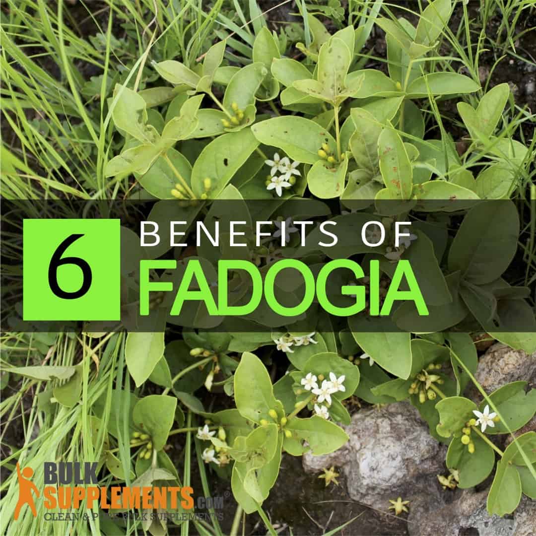 Fadogia Agrestis benefits
