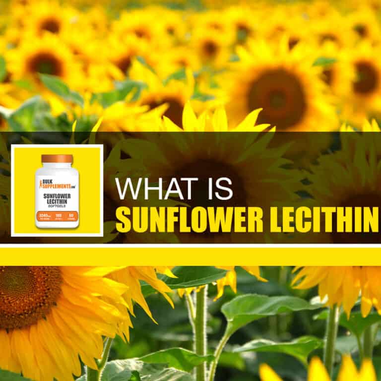 Sunflower Lecithin Softgel Capsules Benefits, Side Effects and Dosage