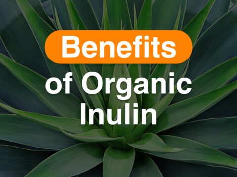 organic inulin benefits