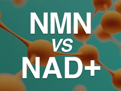 nmn vs nad+