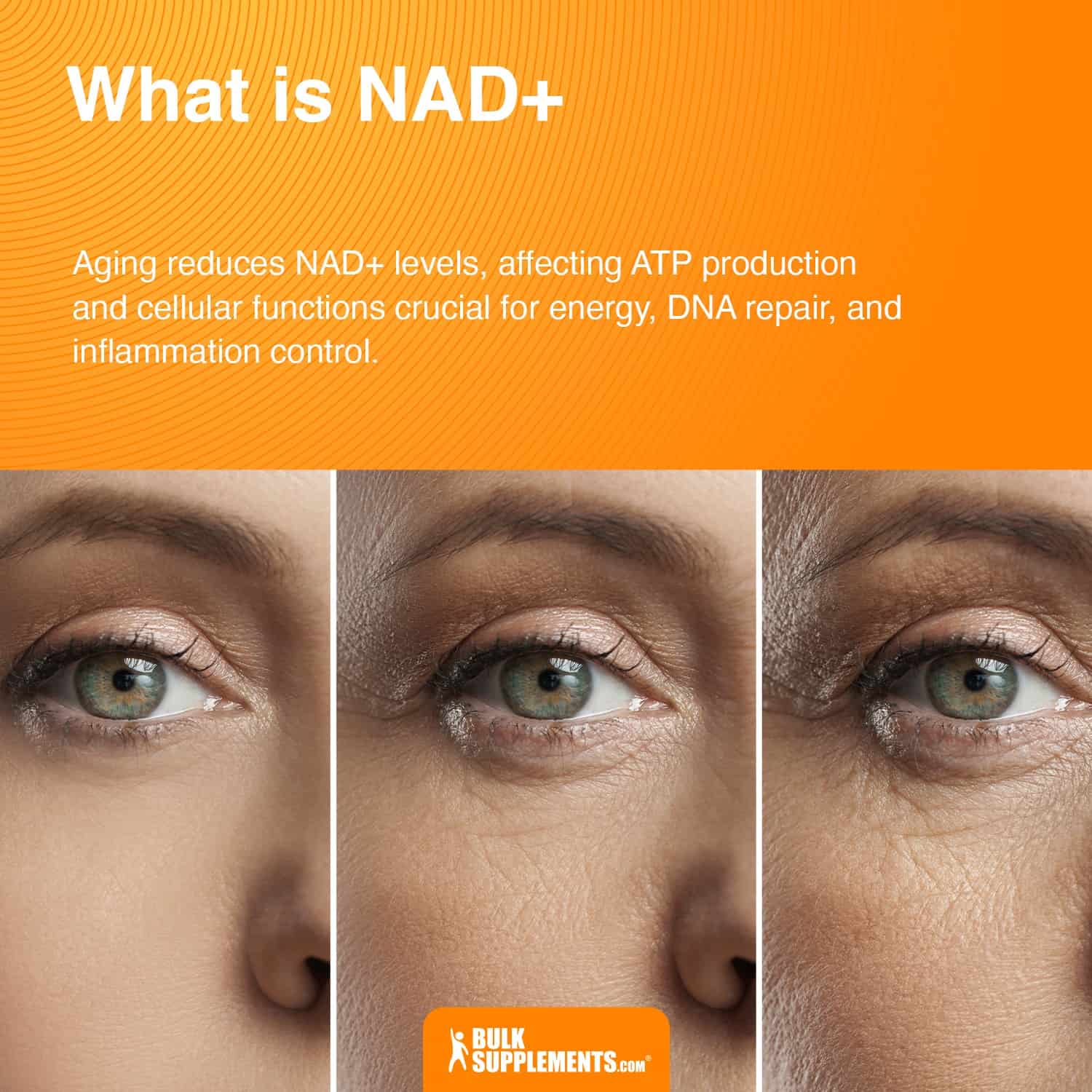 what is nad+