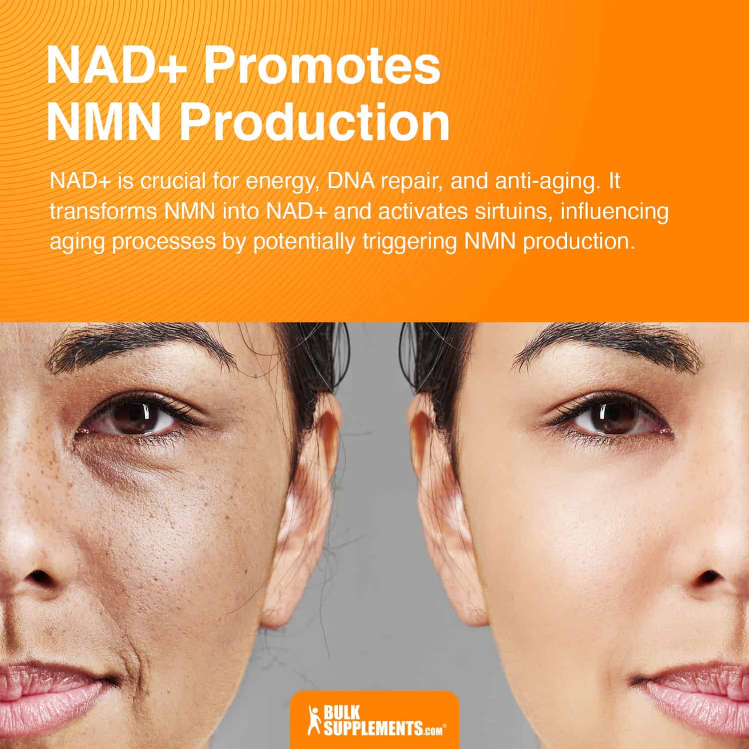 nad+ promotes nmn production