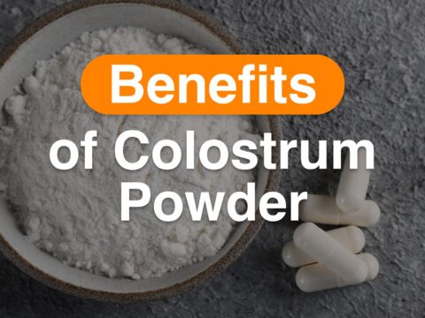 benefits of colostrum powder