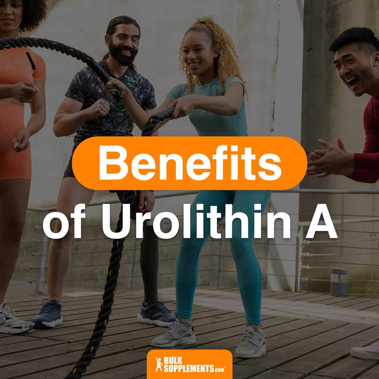Urolithin A Supplement. Promotes Healthy Aging and Muscle Growth