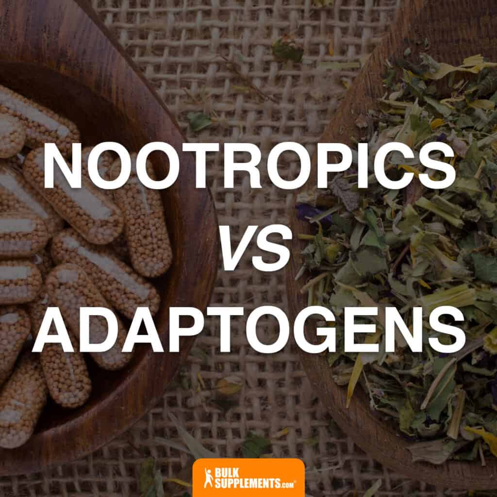 nootropics vs adaptogens