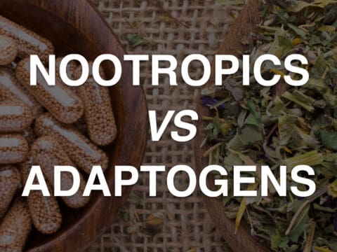 nootropics vs adaptogens